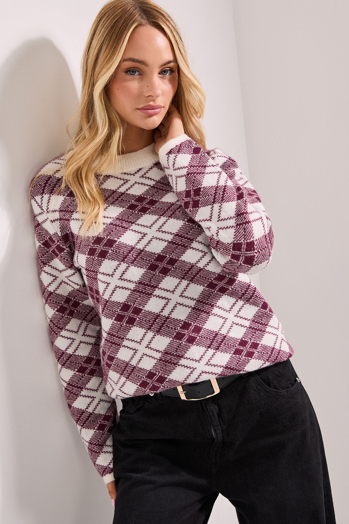 Dorothy Perkins Argyle Jumper Berry image 1
