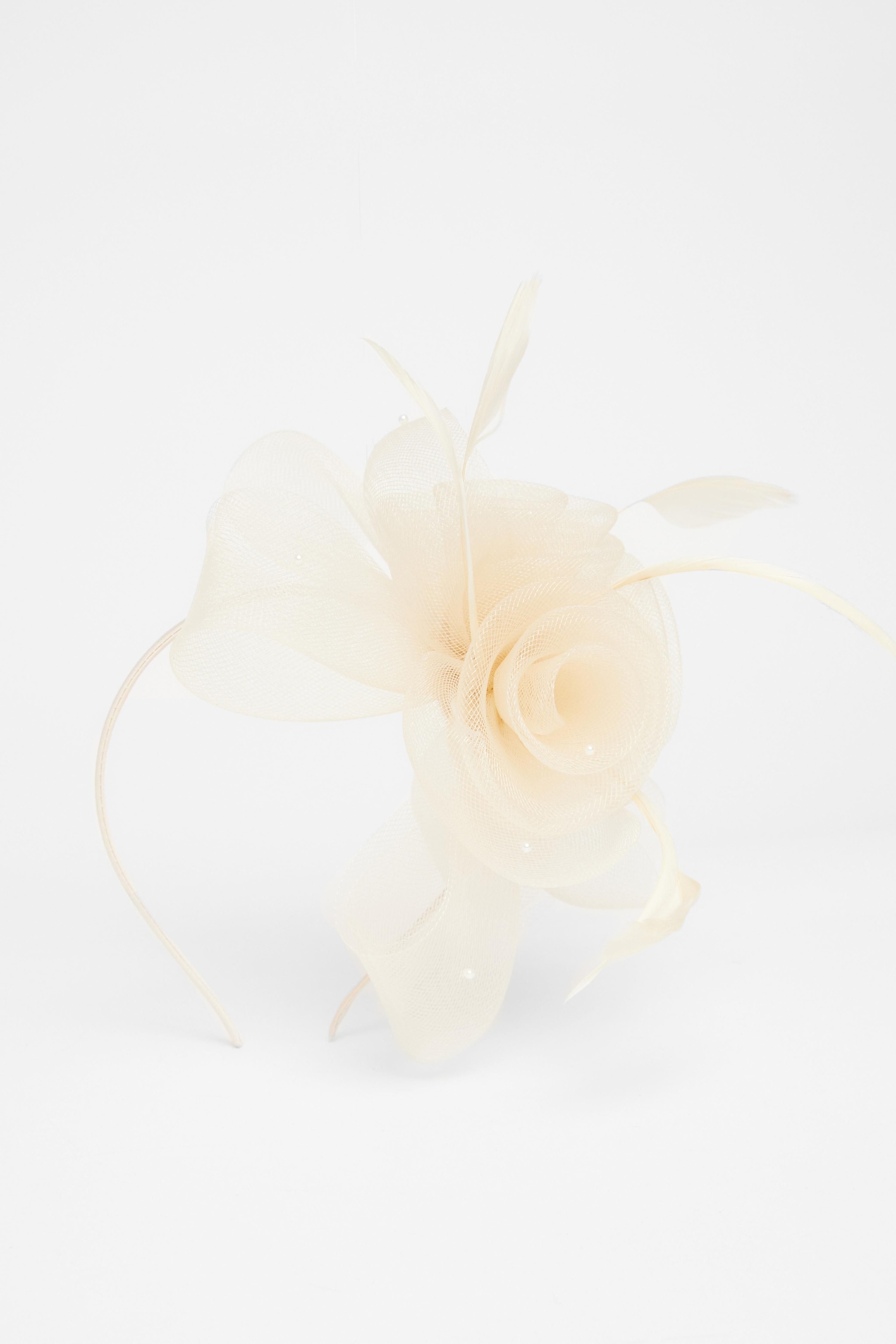 Quiz Off White Flower Headband Fascinator image 2