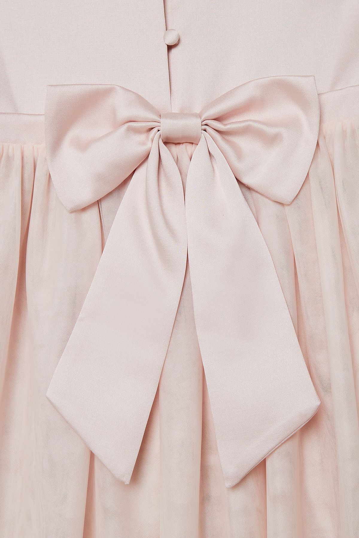 Coast Tulle Skirt Bow Back Flowergirl Dress Blush image 6