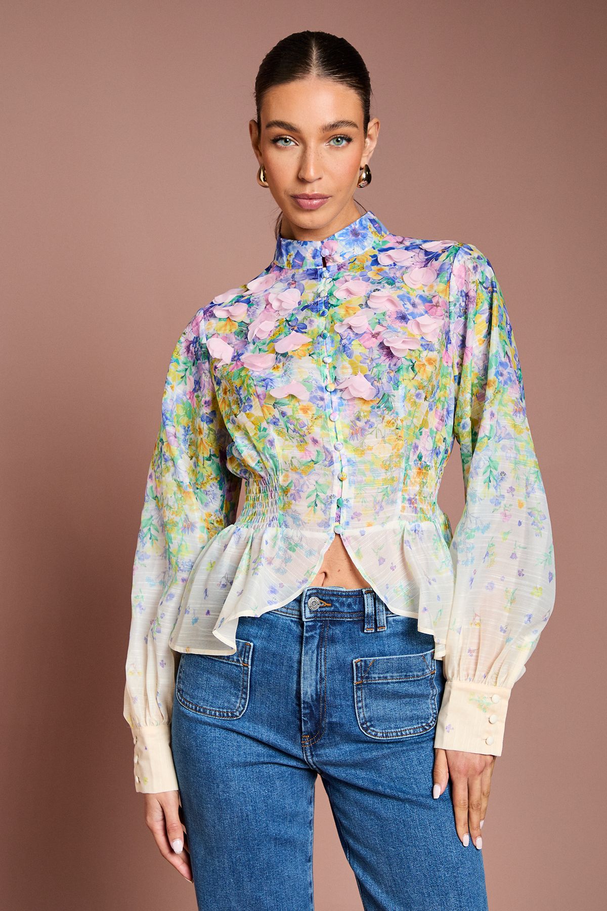 Coast 3D Flower Printed Organza Blouse Multi