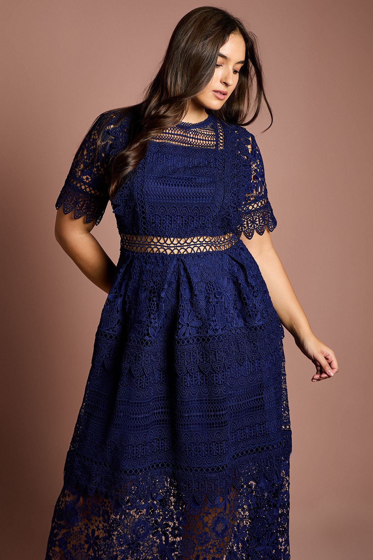 Coast Plus Short Sleeve Lace Midi Dress Navy image 4