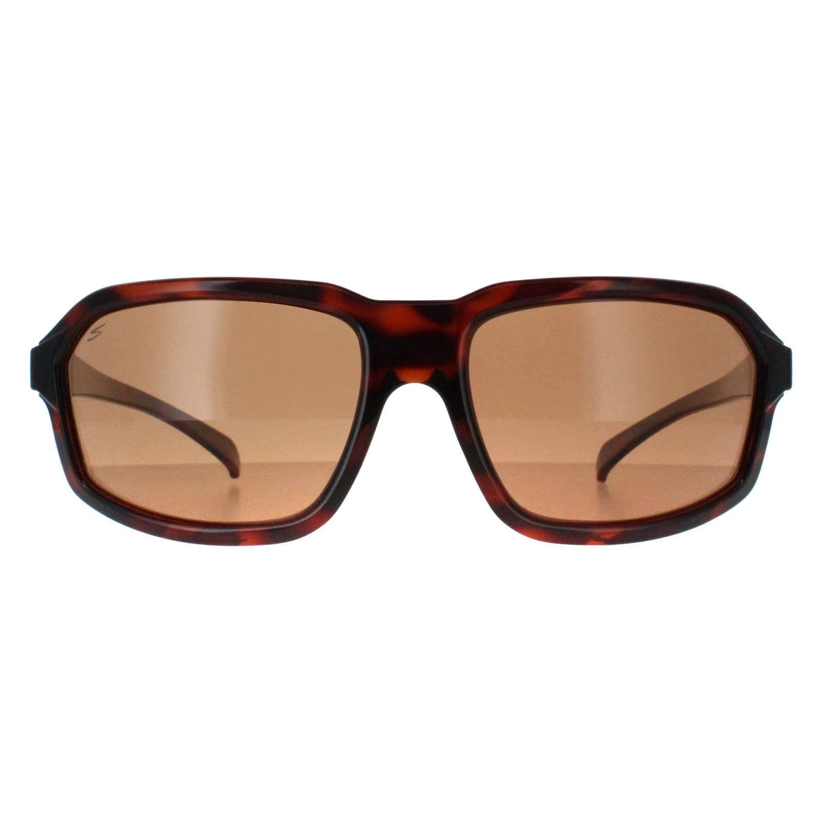 Serengeti Wrap Shiny Tortoise Saturn Drivers Polarized Hext