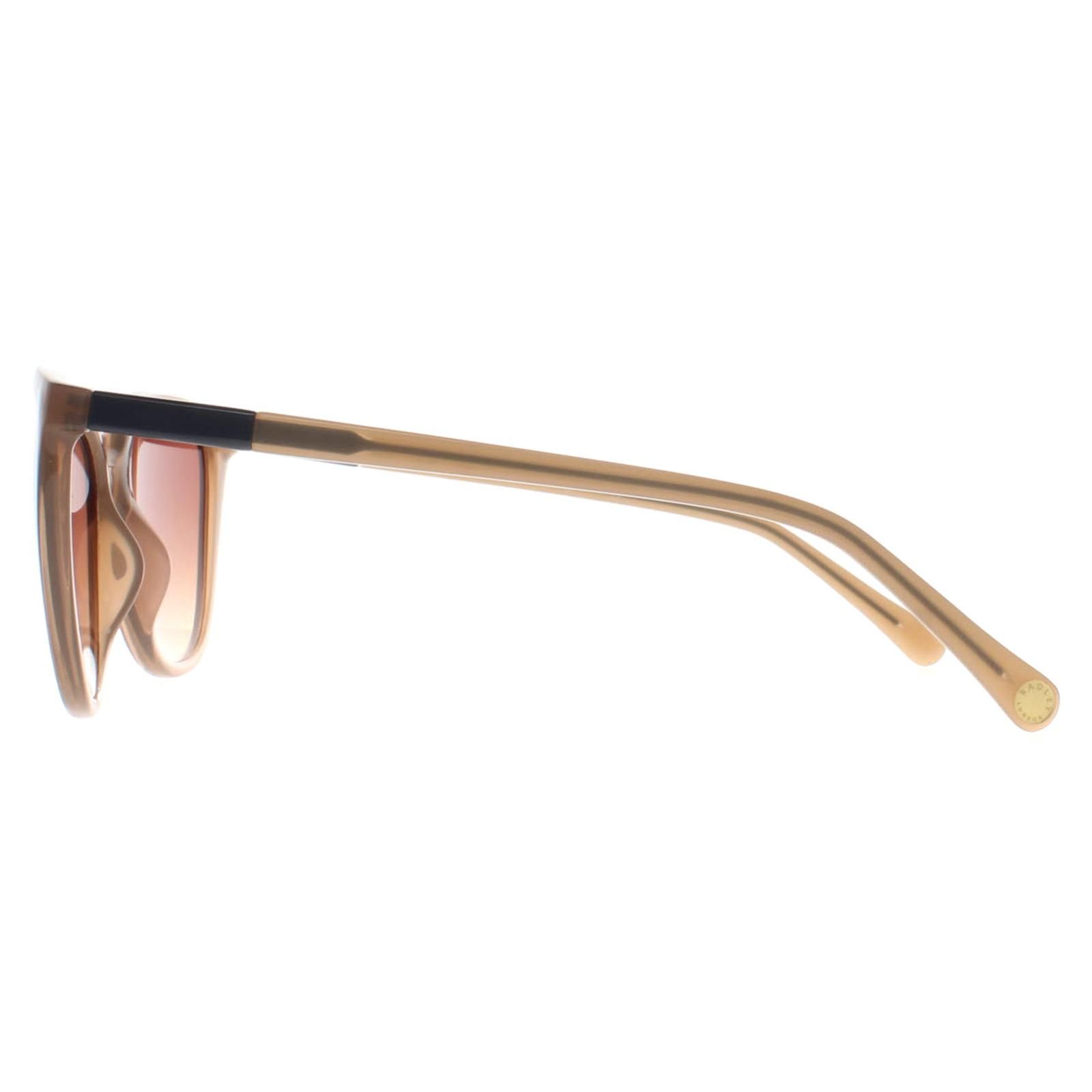 Radley Cat Eye Gloss Crystal Nude and Painted Blue Brown Gradient Fionn image 3
