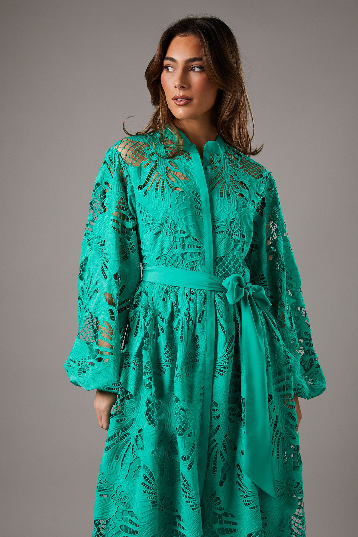 Coast Cutwork Shirt Dress Green image 2