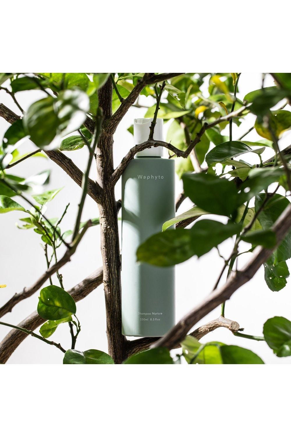 Waphyto Nurture Shampoo Multi image 5