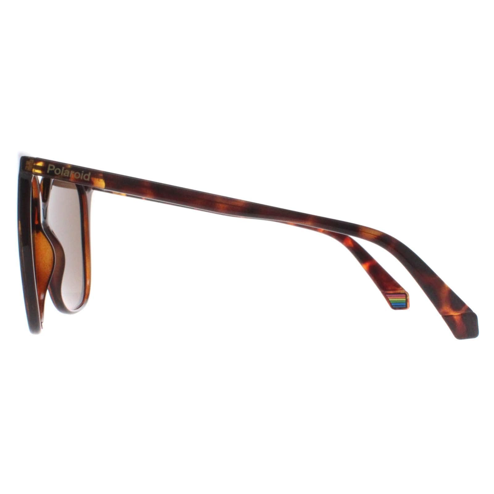Polaroid Square Havana Bronze Polarized PLD 6218/S image 3