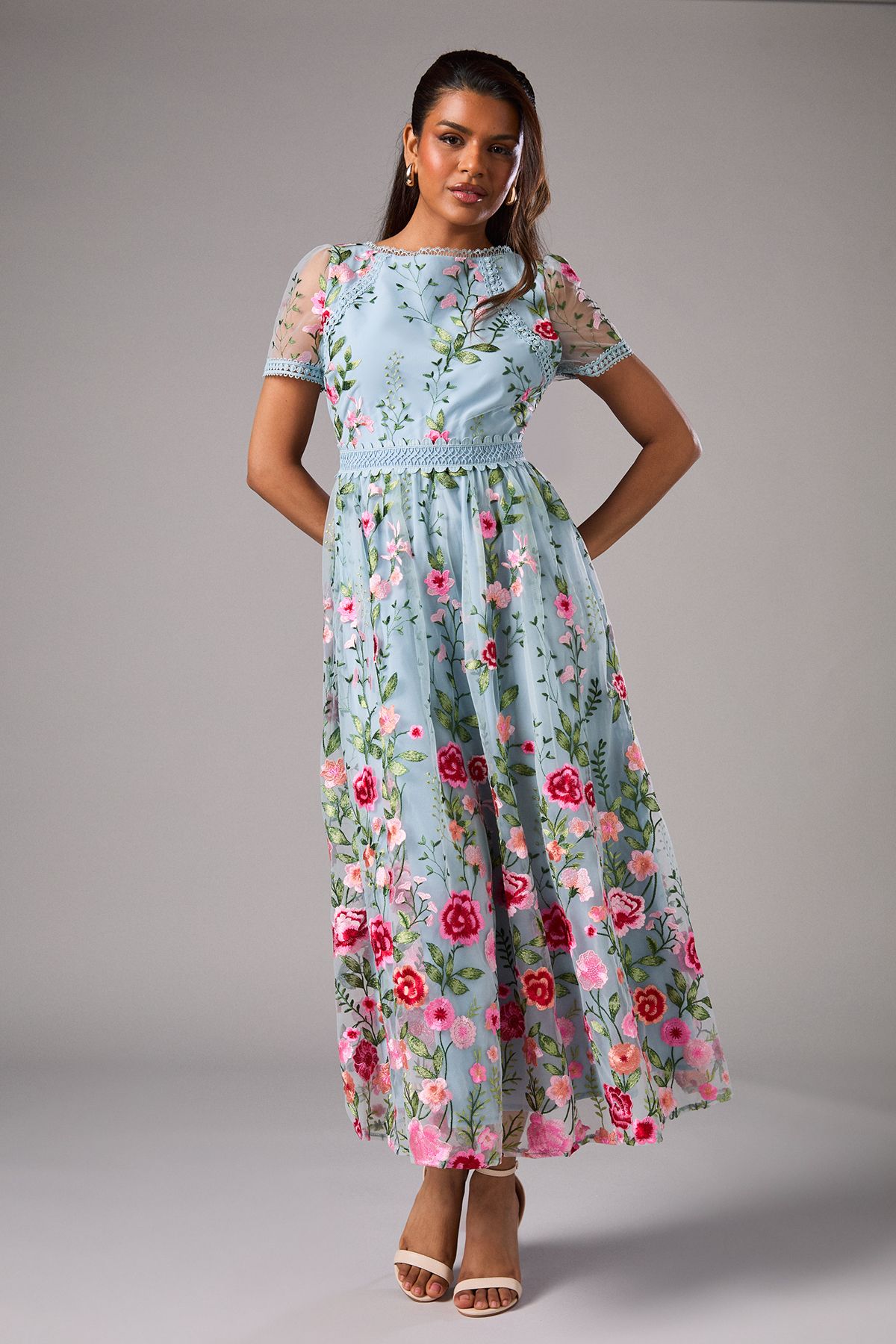 Coast Petite Embroidered Mesh Midi Dress With Lace Trim Blue image 1