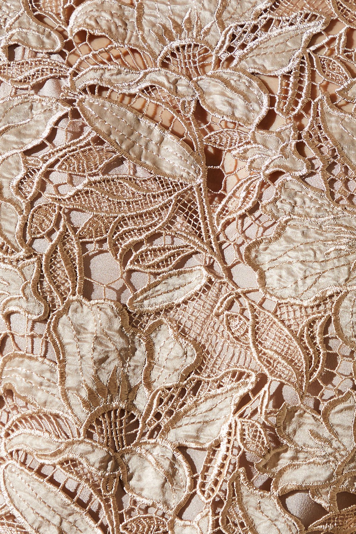 Coast Lace Kimono Sleeve Jumpsuit Champagne image 5