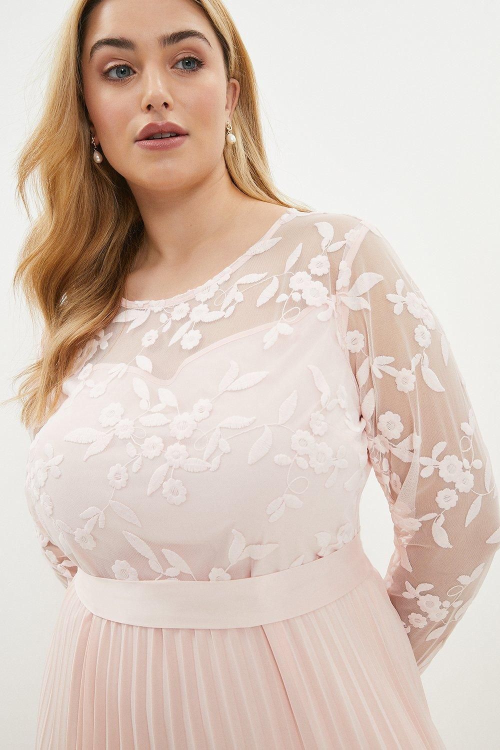 Coast Plus Size Embroidered Long Sleeve Maxi Dress Blush image 2