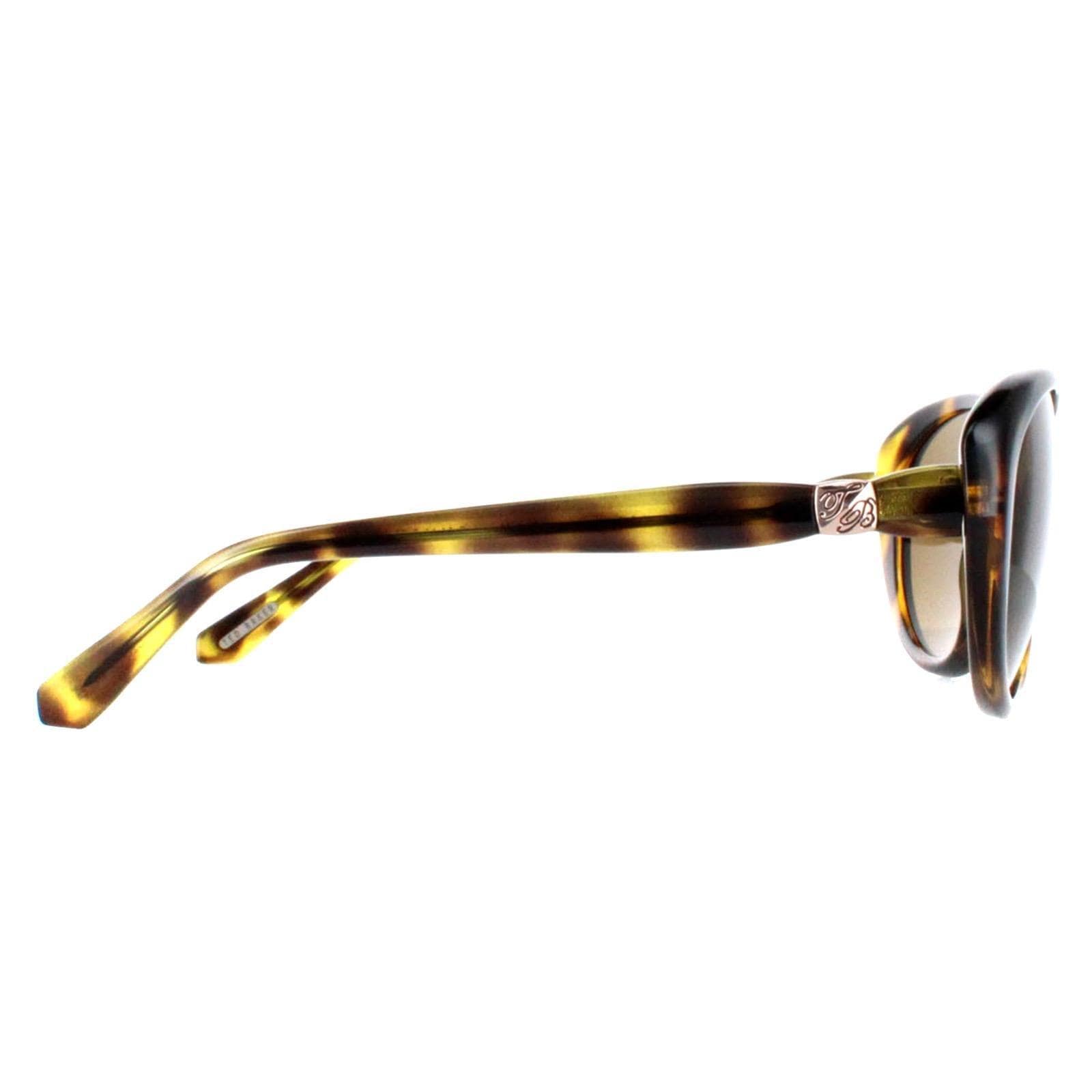 Ted Baker Oval Havana Brown Gradient TB1315 Cougar image 4