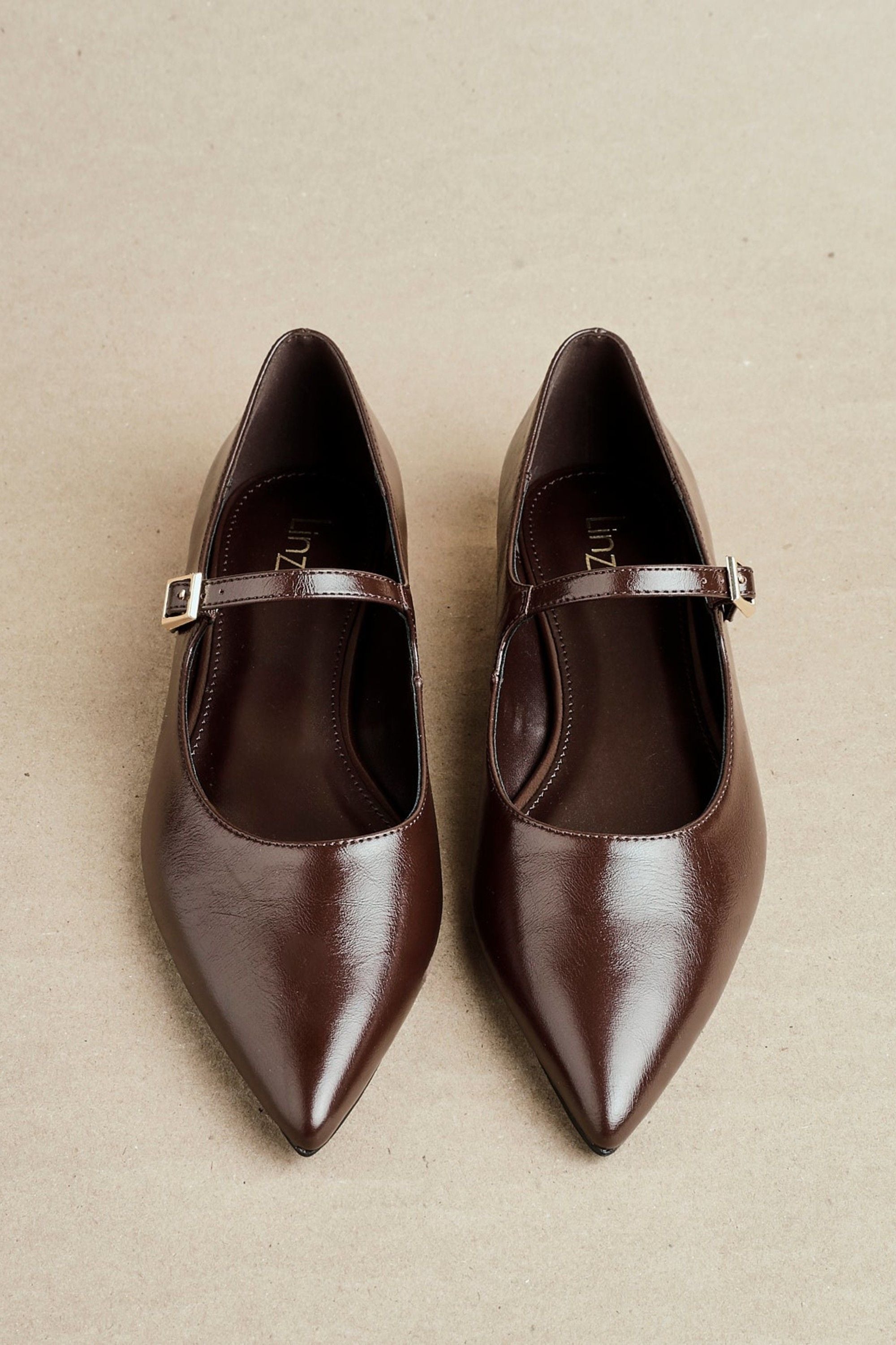 Linzi Seattle Brown Faux Leather Pointed Toe Mary Jane Flats image 2