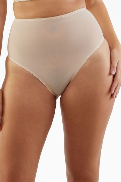 Playful Promises Elsie Peach Mesh Classic High Waist Brief