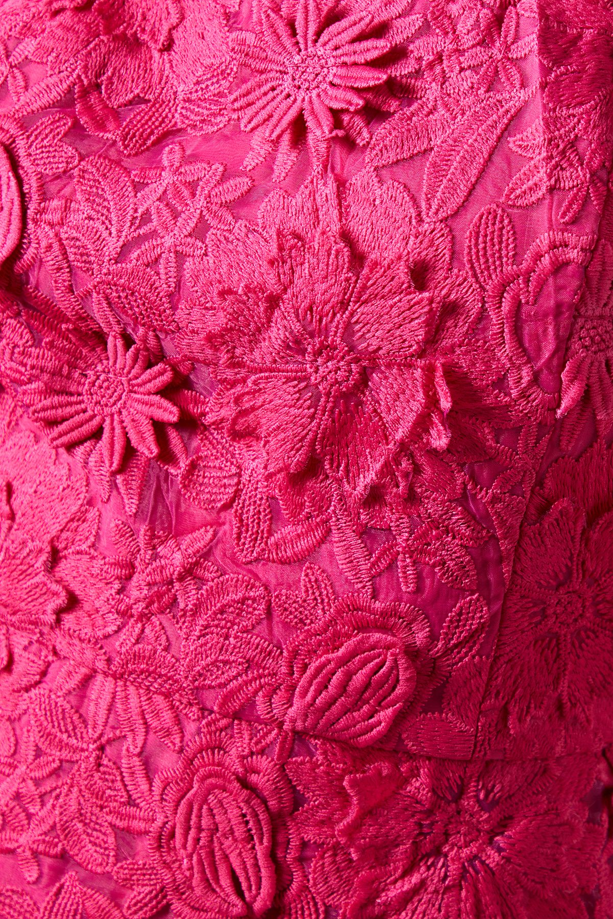 Coast 3D Floral Halter Neck Mini Dress Magenta image 5