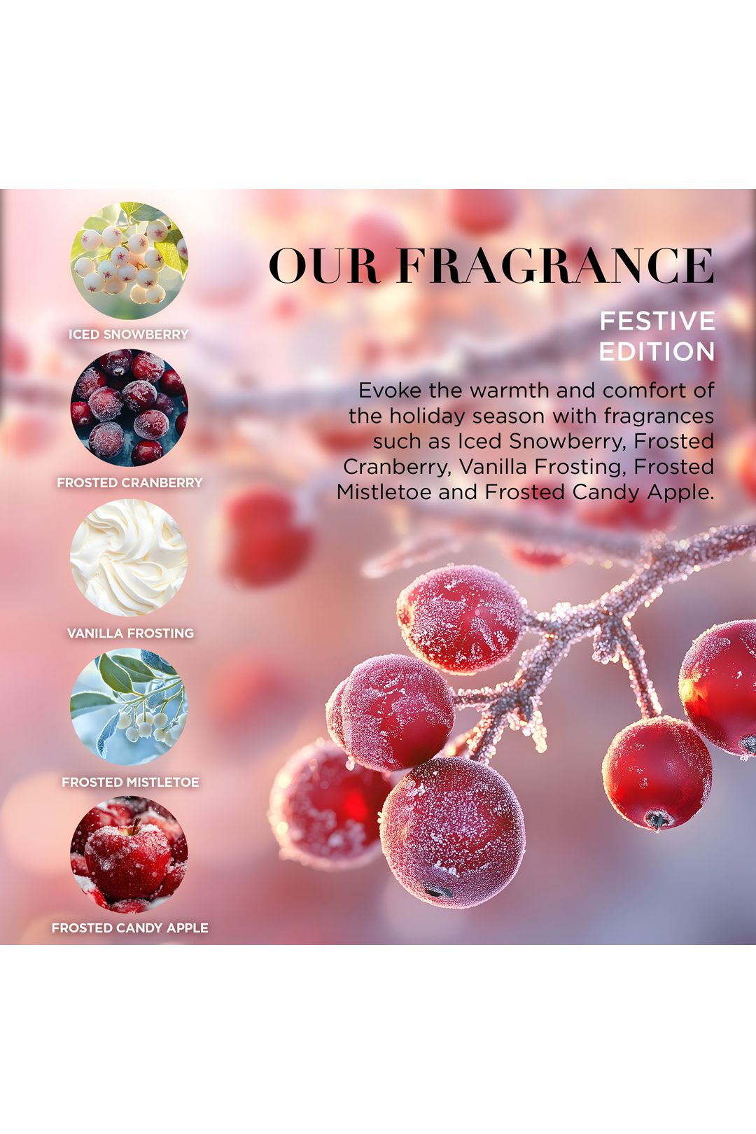 Baylis & Harding Festive Edition Decorative Crackers Gift Set Multi image 5