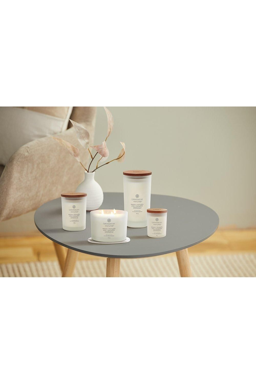 Chesapeake Bay Peace + Tranquility Medium Candle White image 3