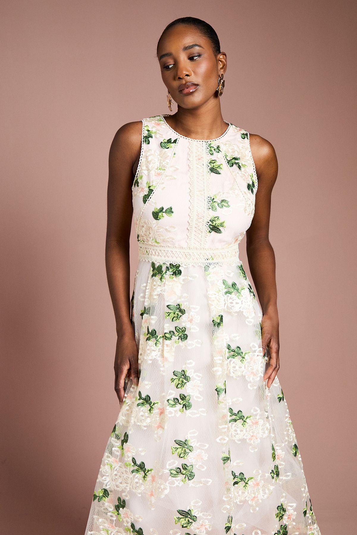 Coast Embroidered Mesh Lace Trim Full Skirted Midi Dress Blush image 2