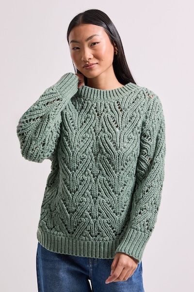 Dorothy Perkins Petite Cable Pointelle Crew Neck Jumper Sage