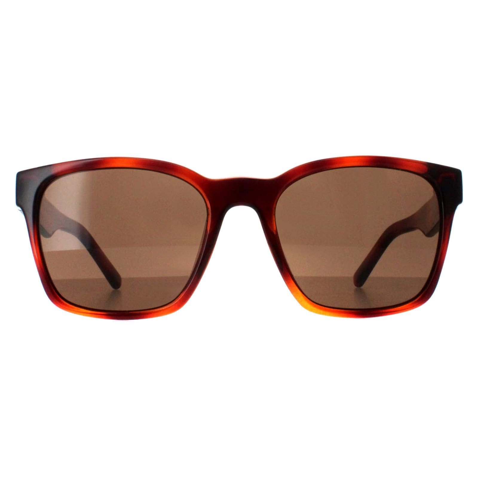 Salvatore Ferragamo Square Tortoise Brown SF959S image 1