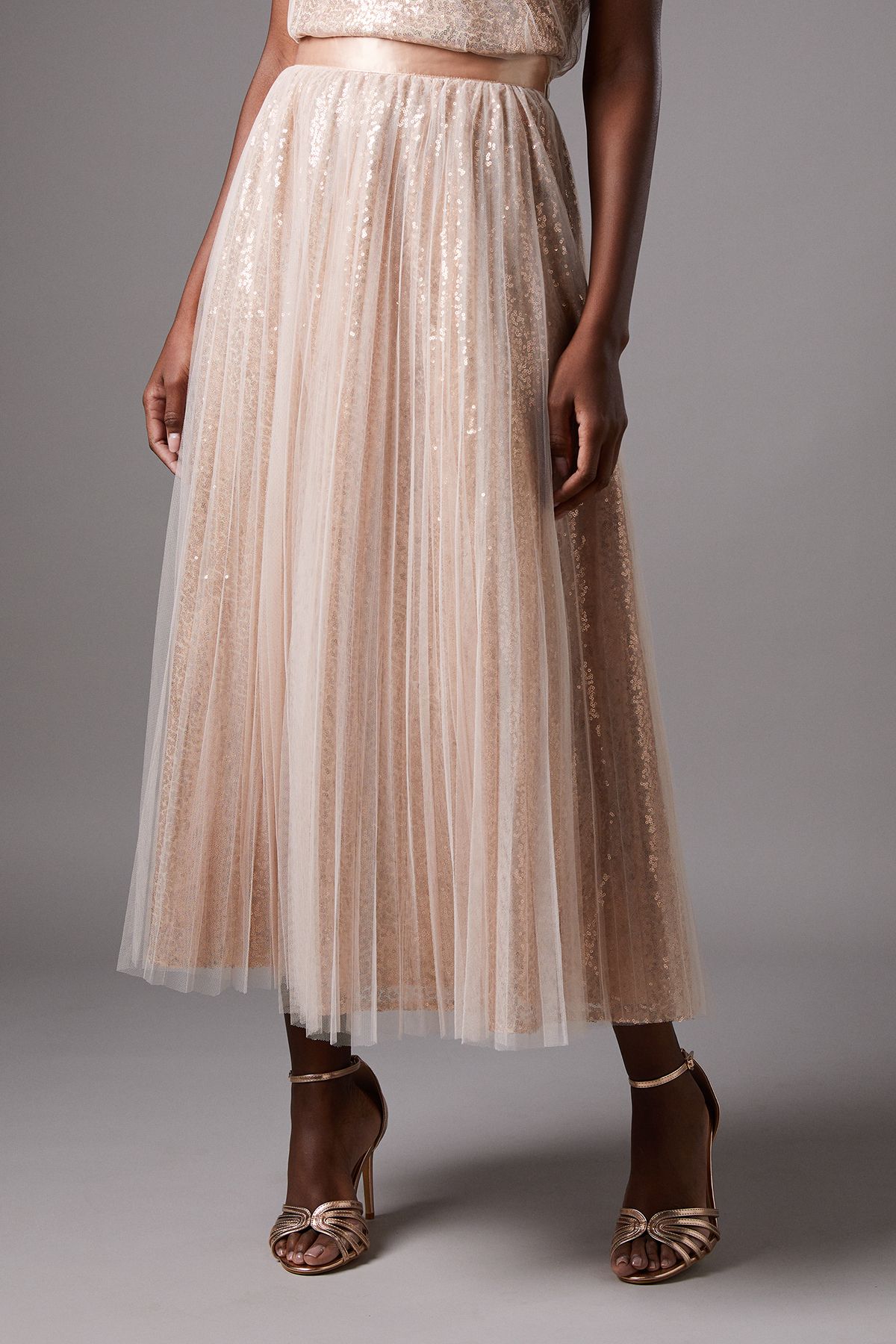 Coast Mesh Tulle Skirt Blush image 2