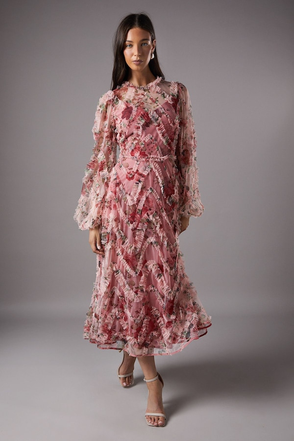 Coast Long Sleeve Applique Floral Midi Dress Pink