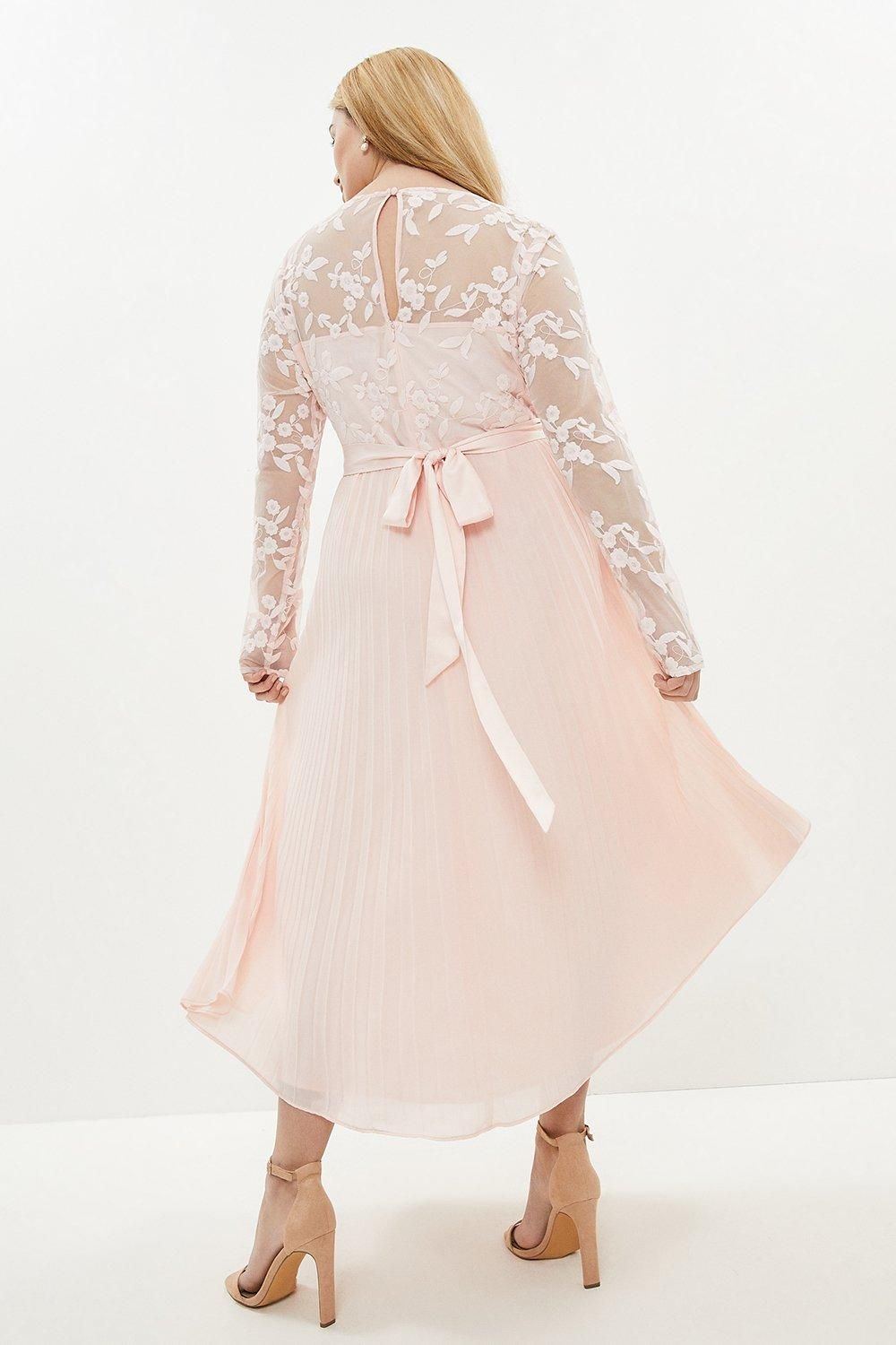 Coast Plus Size Embroidered Long Sleeve Maxi Dress Blush image 3