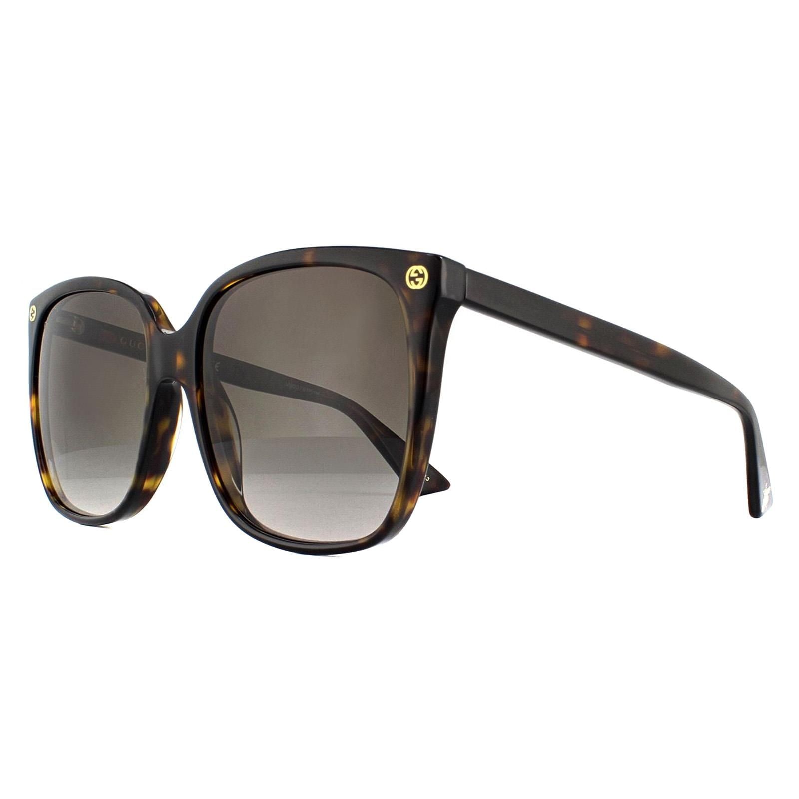 Gucci Cat Eye Havana Grey Gradient Sunglasses image 2