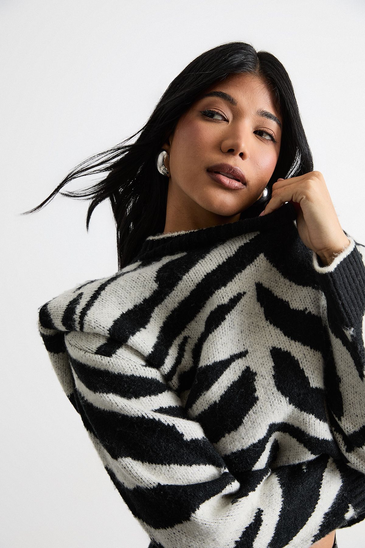 Warehouse Animal Zebra Jacquard Jumper Zebra image 2