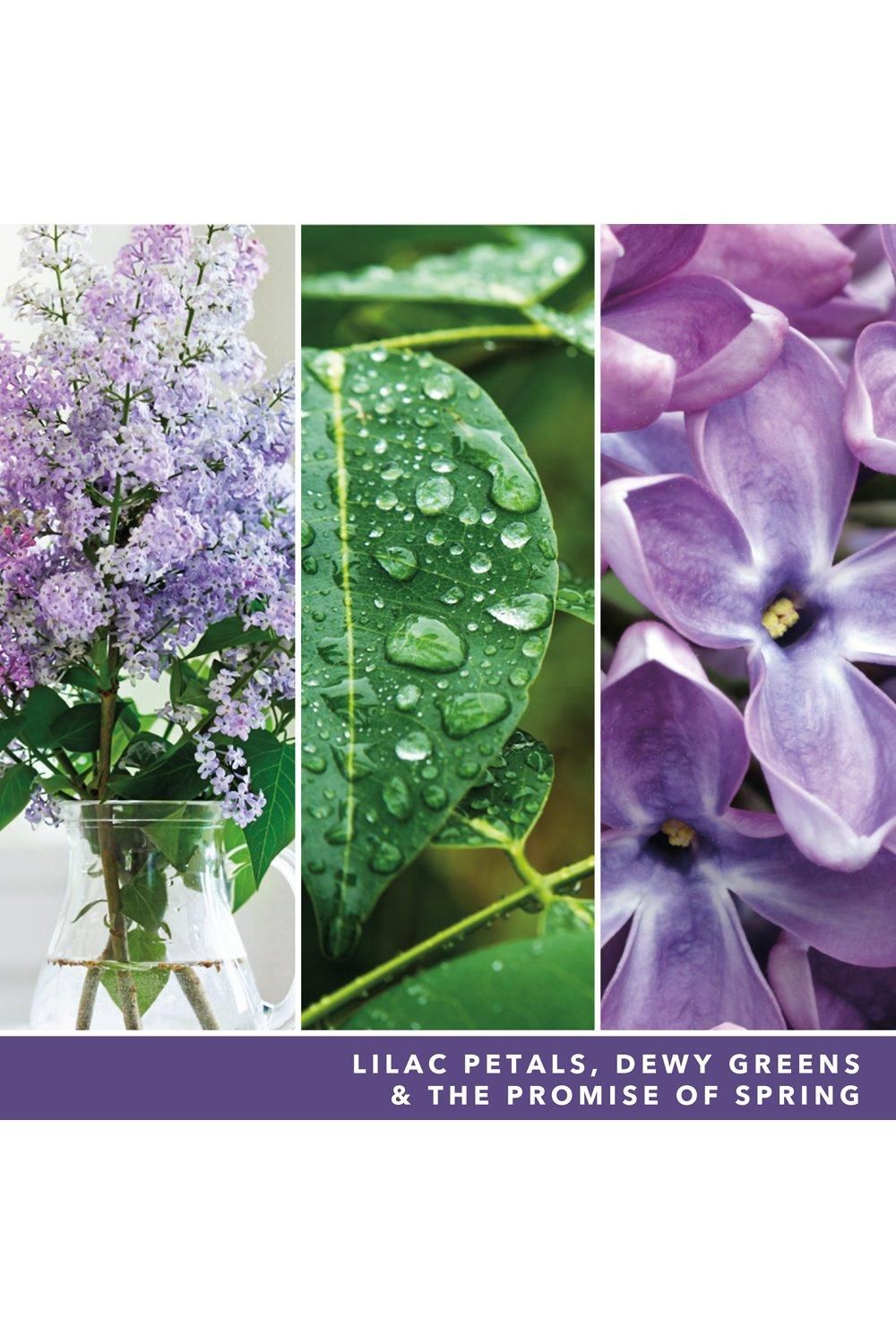 Yankee Candle Signature Large Jar Lilac Blossoms Lilac image 3