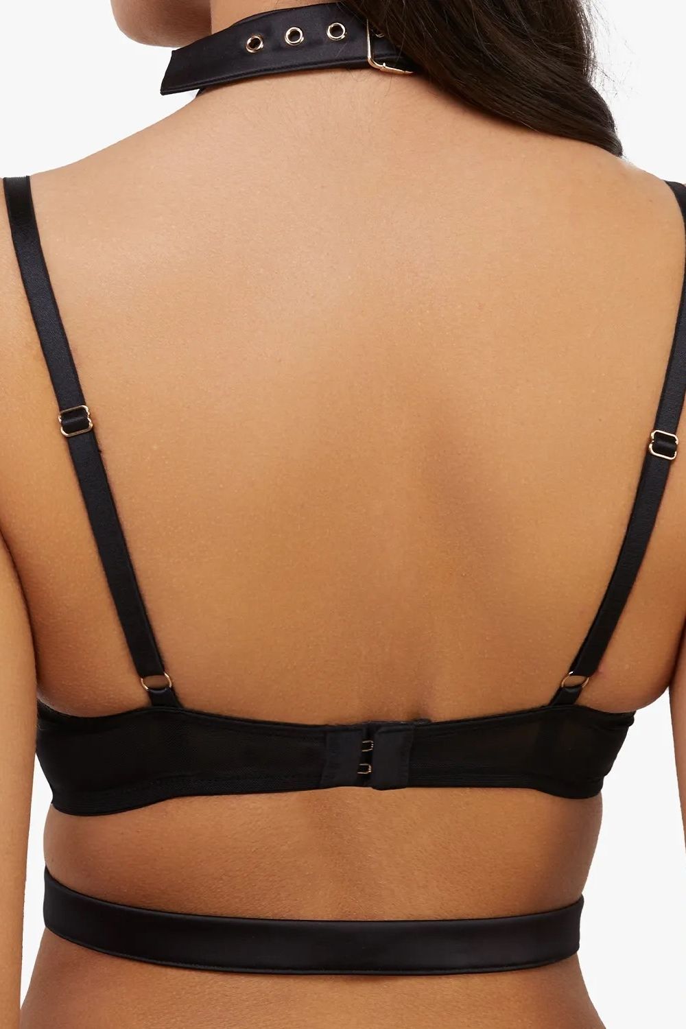 Playful Promises Tabitha Dark Green Wet-Look Lace 'High Waist Thong' image 4