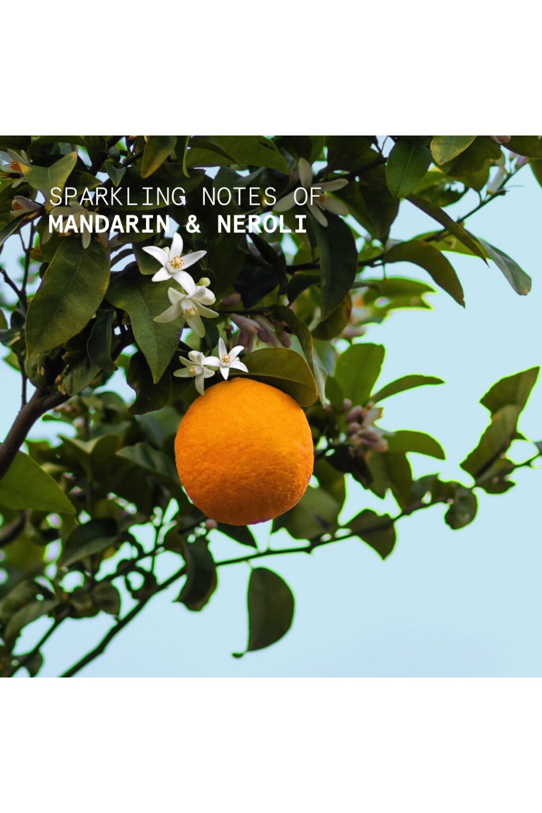 Korres Mandarin Neroli Hand Cream 50ml Multi image 3