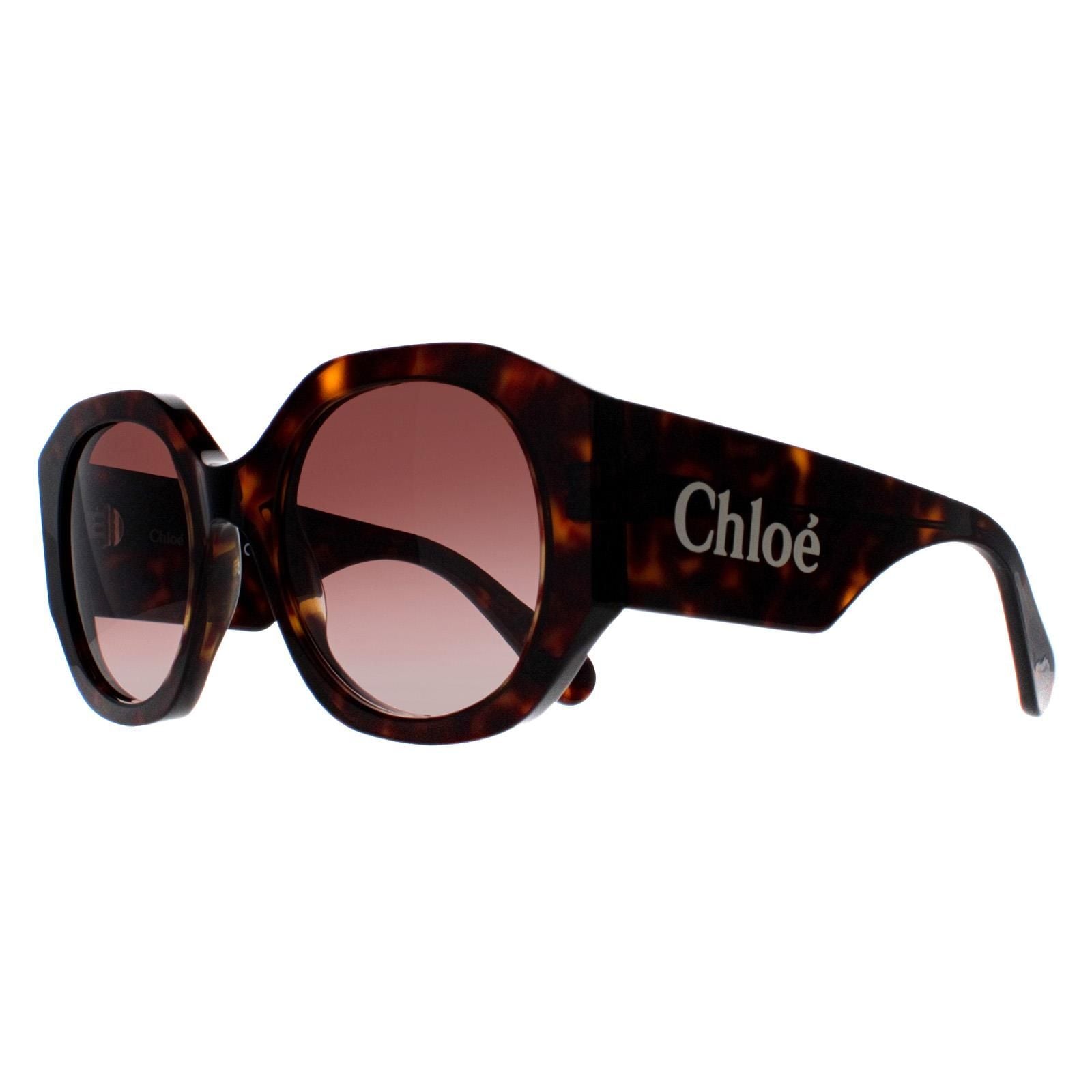 Chloe Round Dark Havana Brown Gradient CH0234S image 2