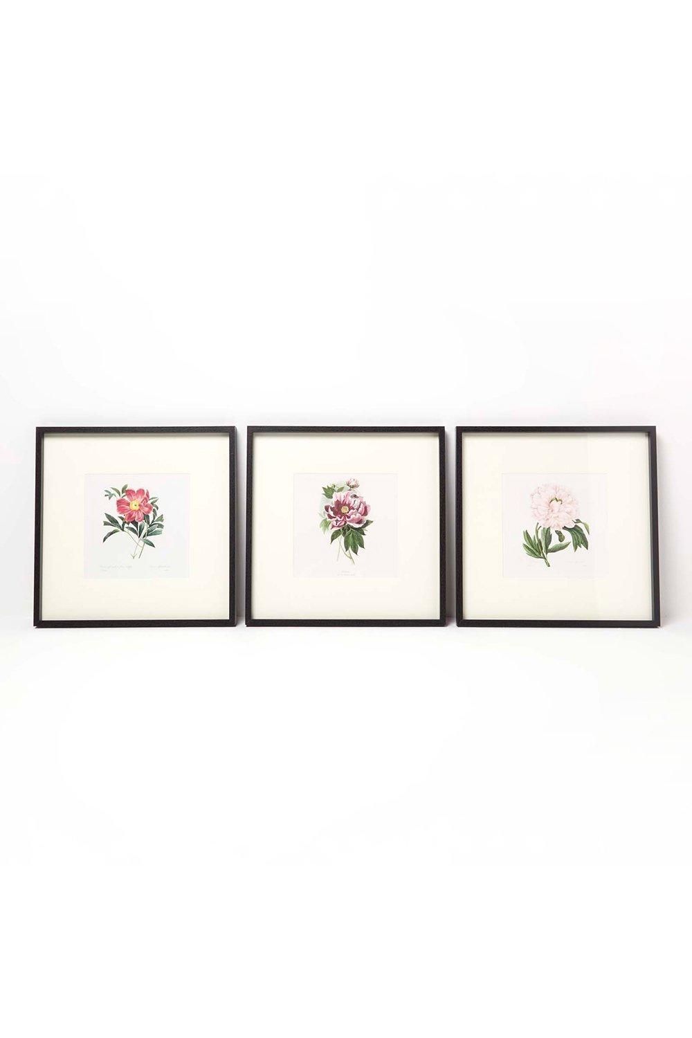 Homescapes Wall Decoration Set of 3 Frames with Picture, Peonies image 1