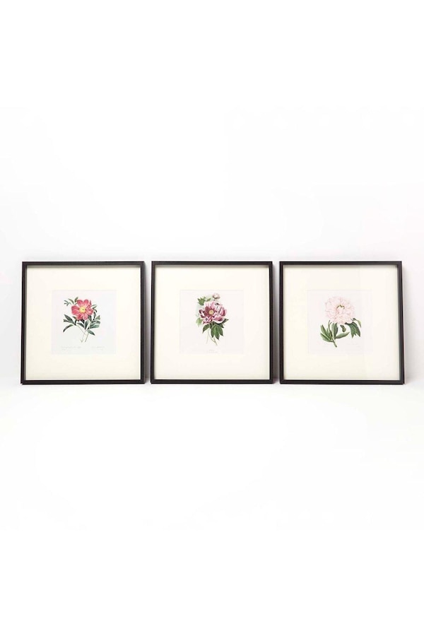 Homescapes Wall Decoration Set of 3 Frames with Picture, Peonies