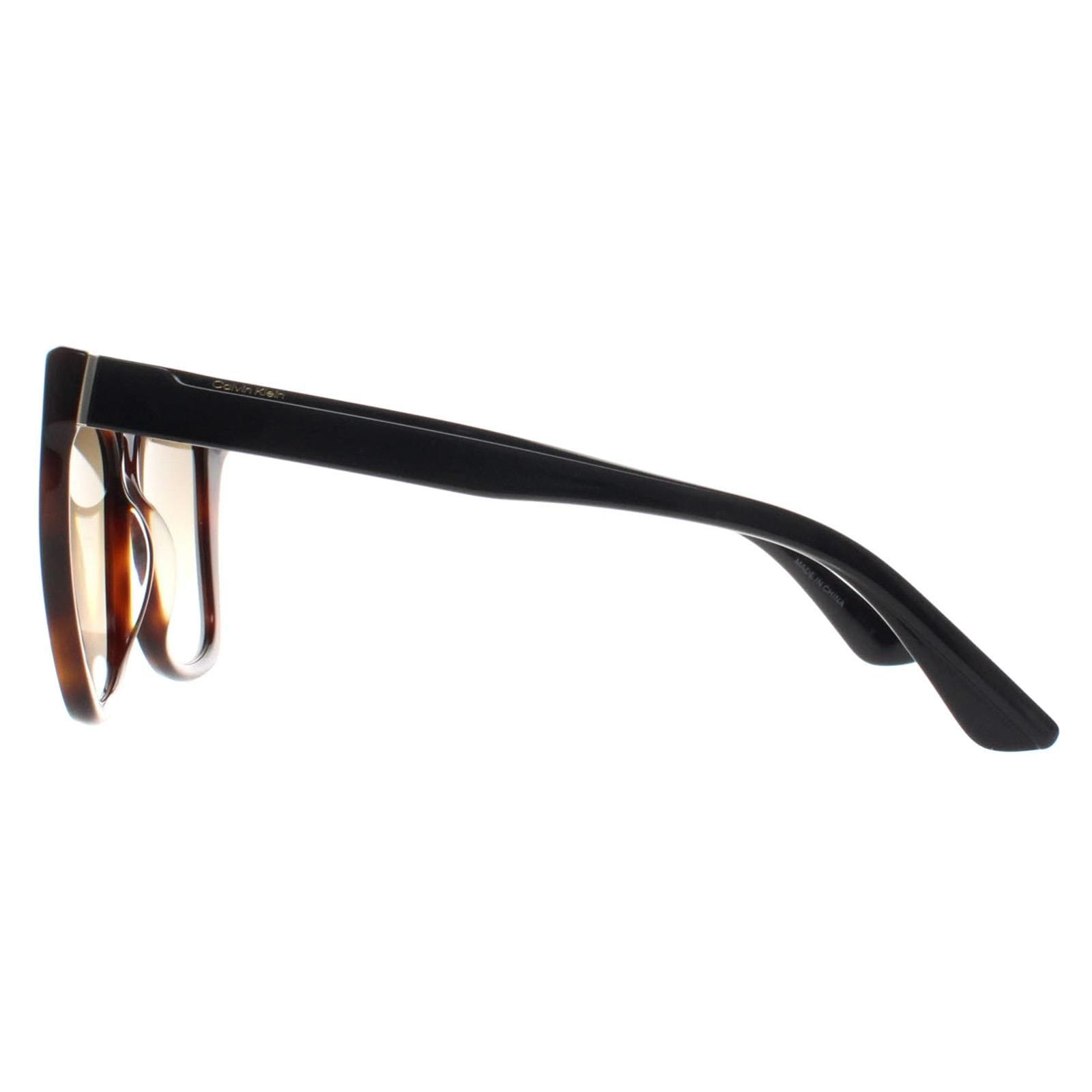 CALVIN KLEIN Butterfly Brown Havana Brown Gradient CK22530S image 3