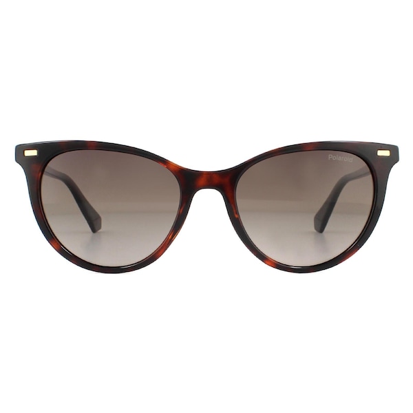 Polaroid Cat Eye Havana Brown Gradient Polarized Sunglasses
