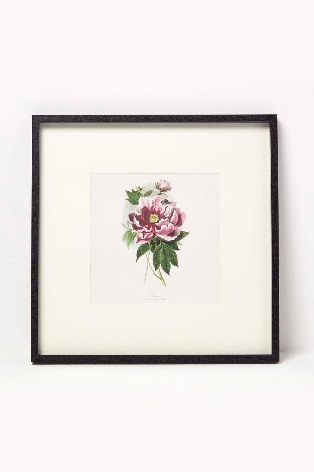 Homescapes Wall Decoration Set of 3 Frames with Picture, Peonies image 2