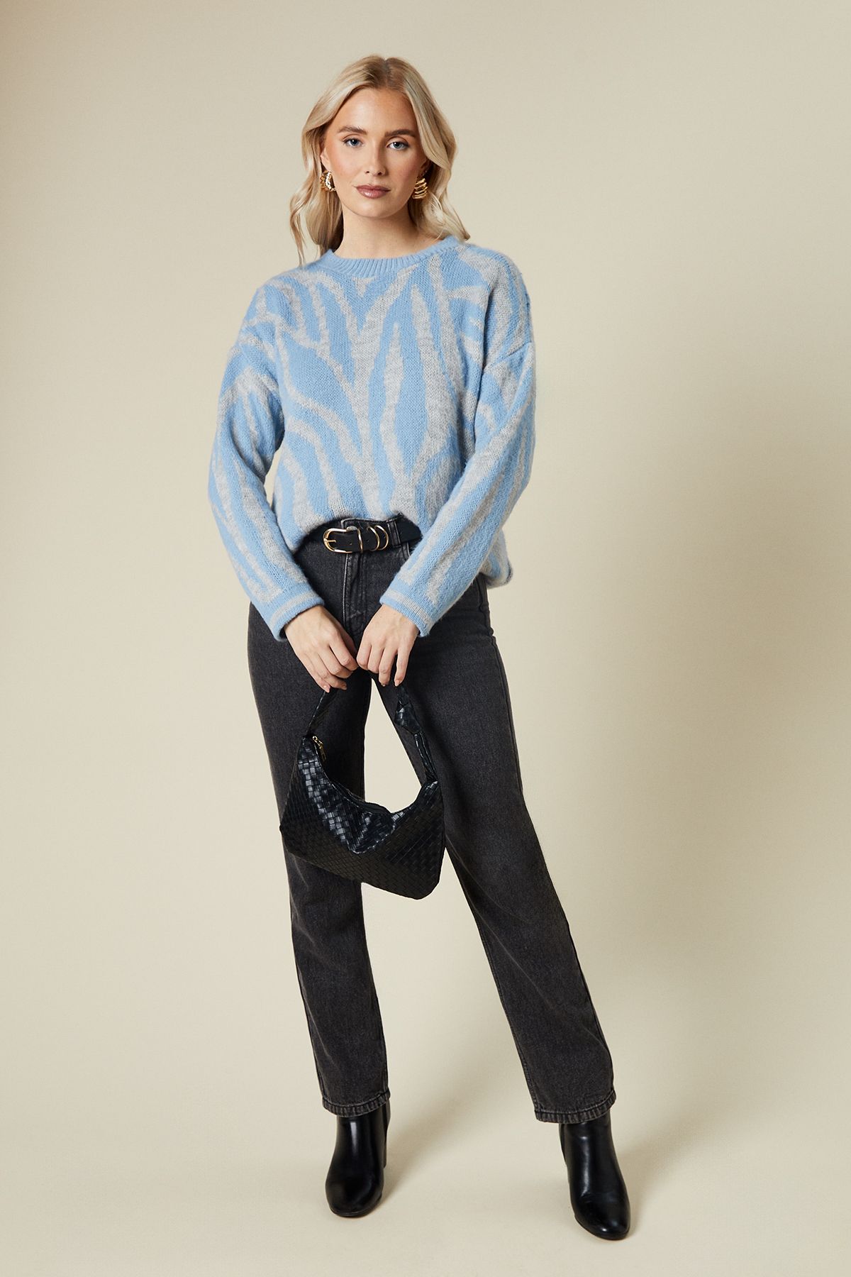 Dorothy Perkins Zebra Crew Neck Jumper Blue image 2