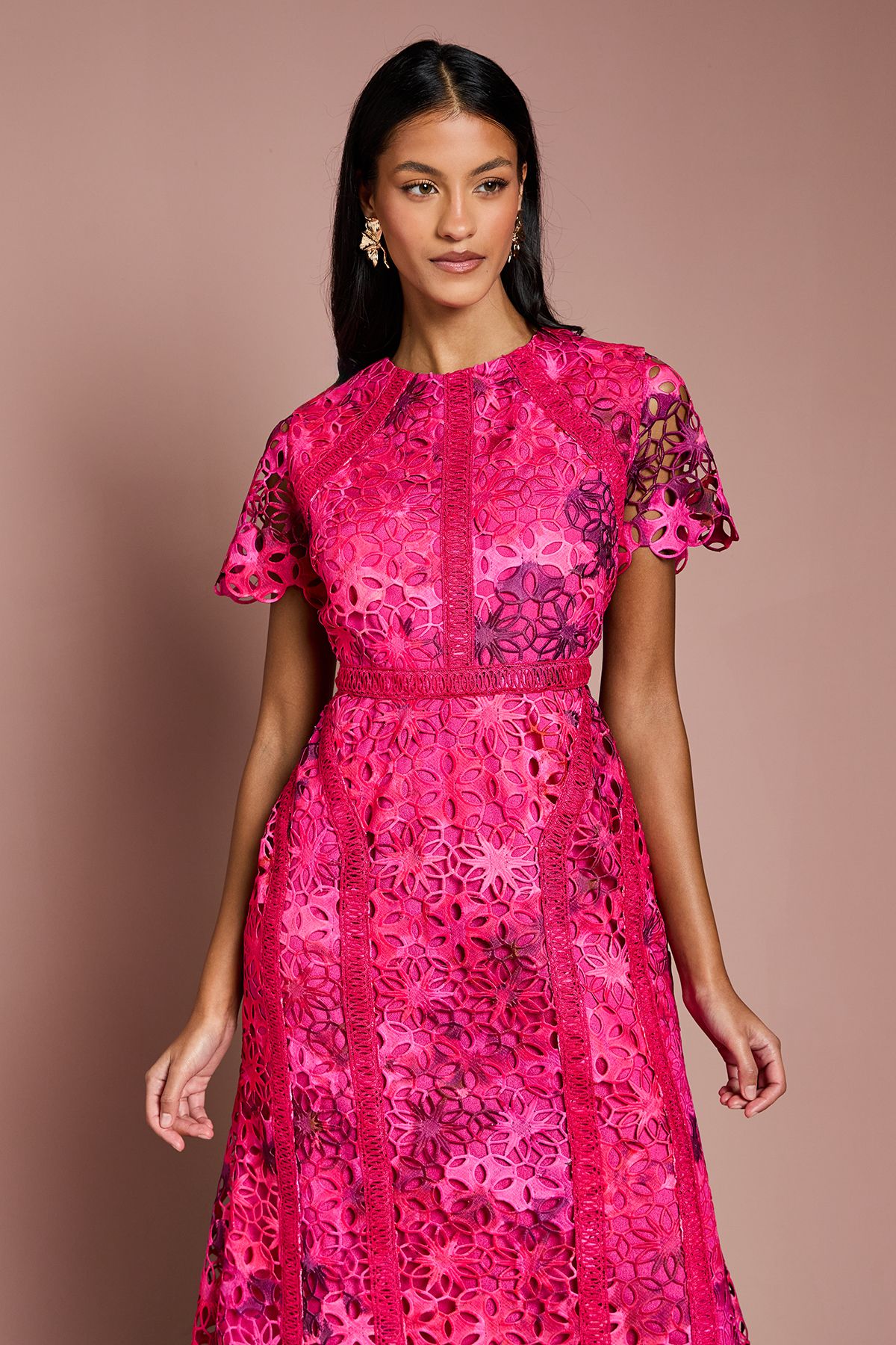 Coast Petite Printed Lace Midi Pencil Dress Pink image 2